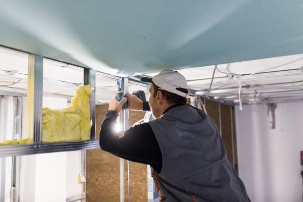 Best Spray Foam Insulation in North Hudson, WI
