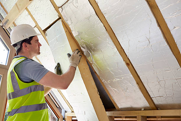 Best Geographic-Specific Insulation Services in North Hudson, WI